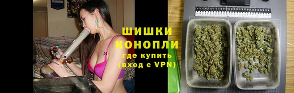 дмт Ладушкин