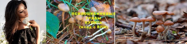 прущие крисы Лагань
