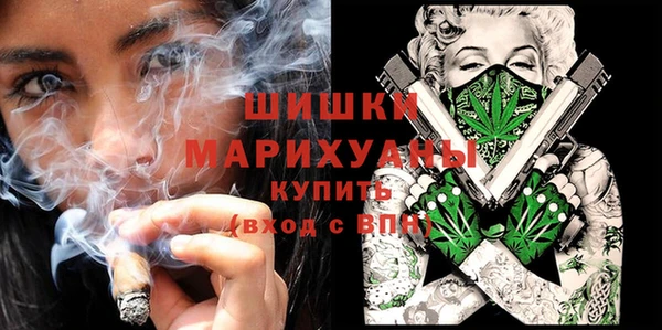 дмт Ладушкин