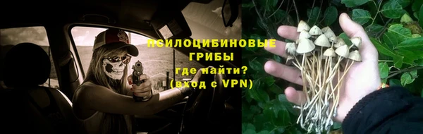 дмт Ладушкин