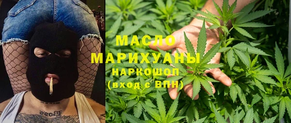 дмт Ладушкин