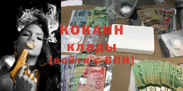 дмт Ладушкин