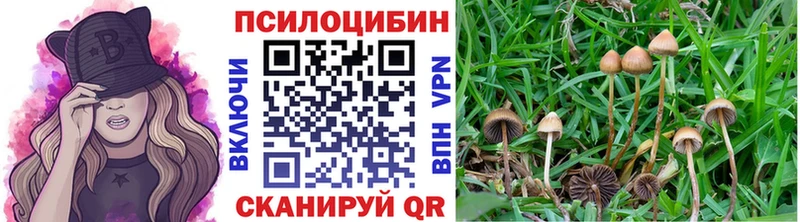 Галлюциногенные грибы GOLDEN TEACHER  Лысково 