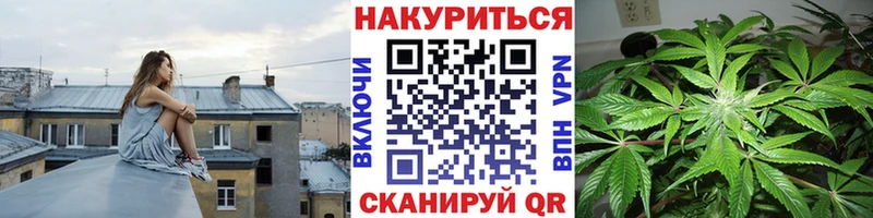 Шишки марихуана планчик  хочу наркоту  Лысково 
